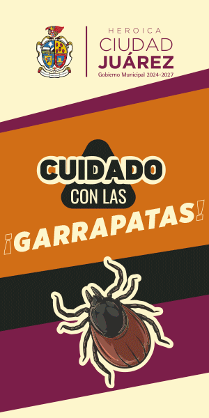 Municipio