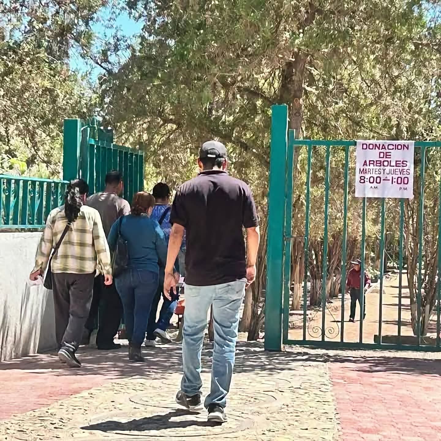 REGALARÁN 1000 ÁRBOLES EN CIUDAD JUÁREZ